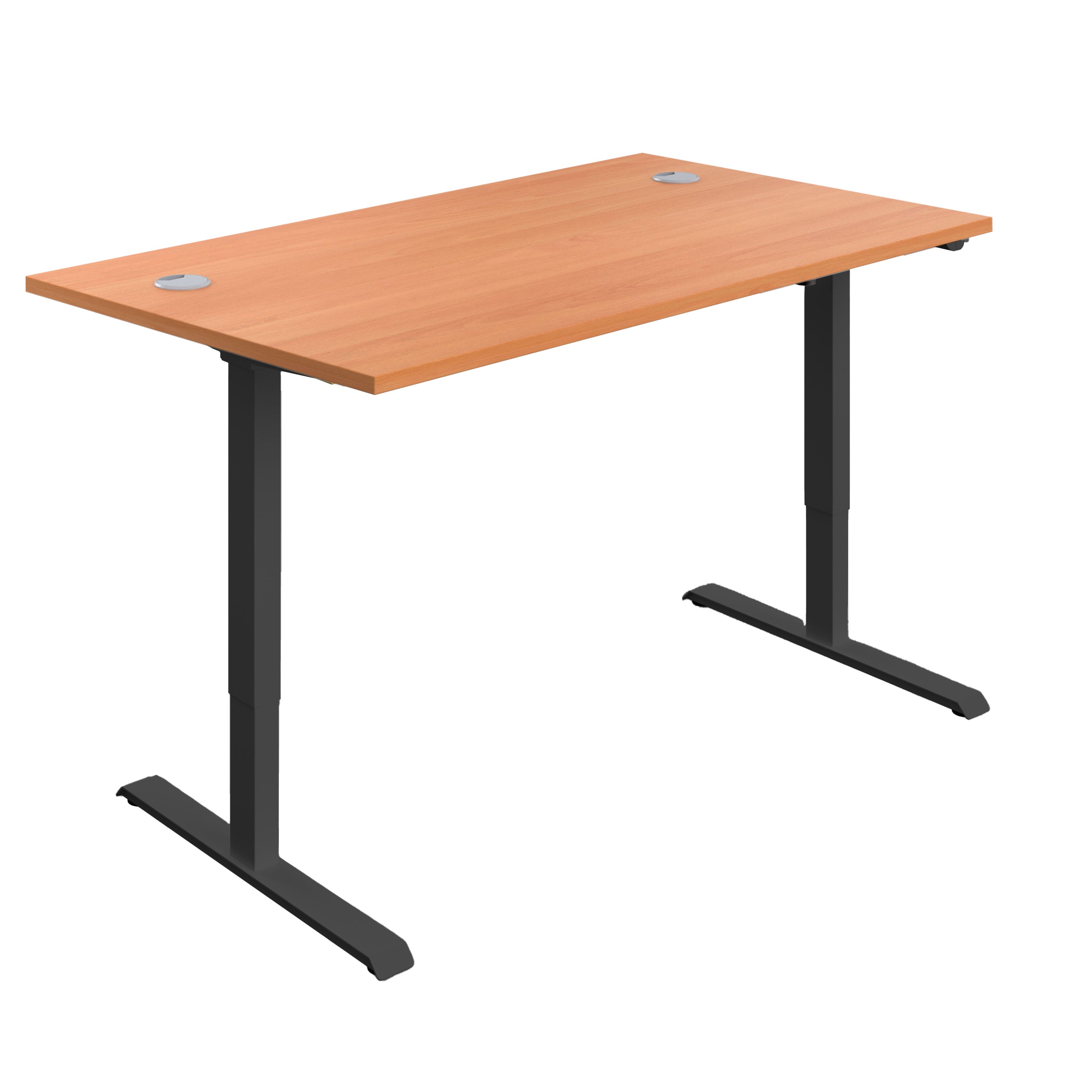 Economy Single Motor Sit Stand Desk (FSC)