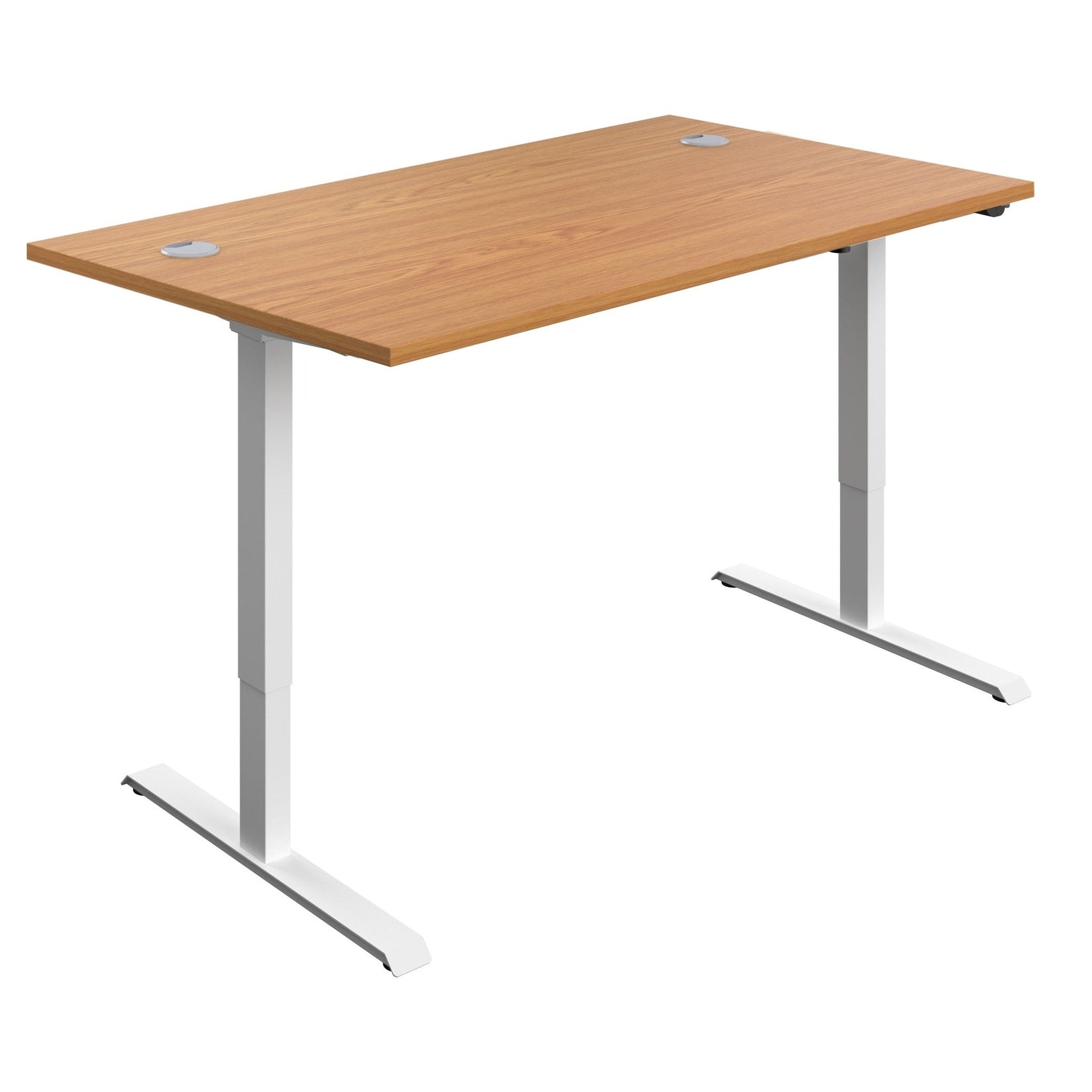 Economy Single Motor Sit Stand Desk (FSC)